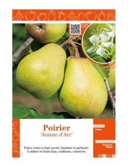 POIRIER JEANNE D'ARC