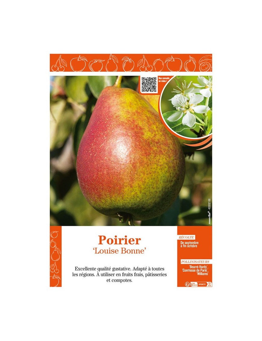 POIRIER LOUISE BONNE