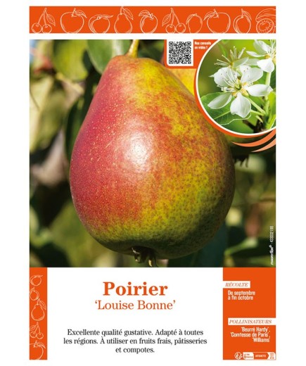 POIRIER LOUISE BONNE