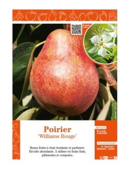 POIRIER WILLIAMS ROUGE