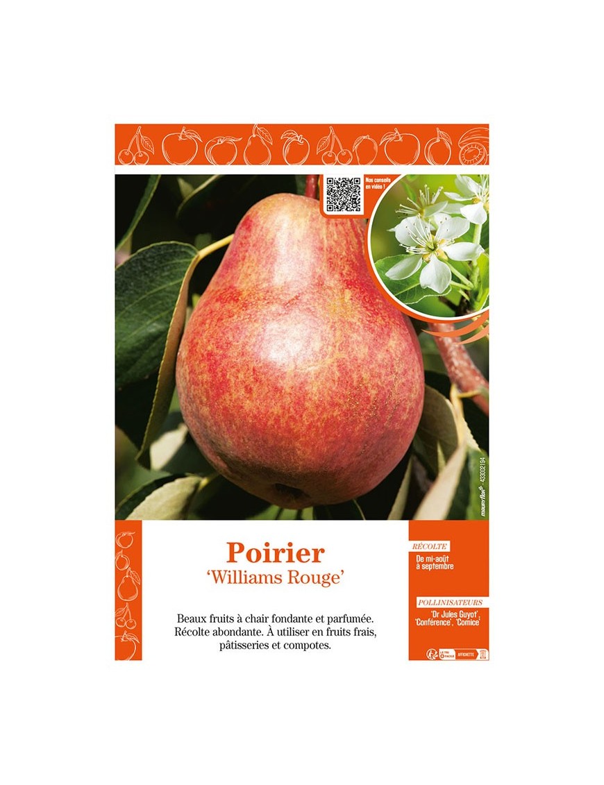 POIRIER WILLIAMS ROUGE