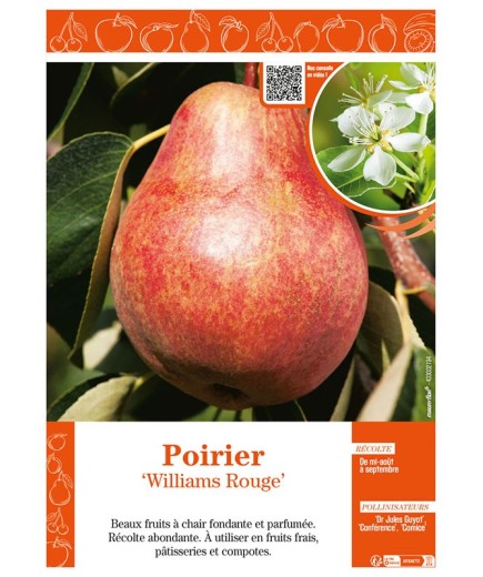 POIRIER WILLIAMS ROUGE