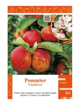 POMMIER CHAILLEUX