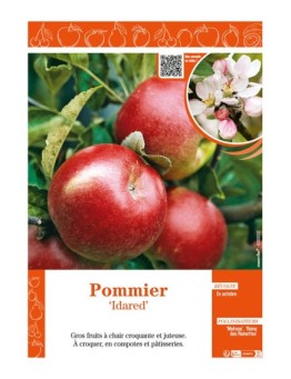 POMMIER IDARED