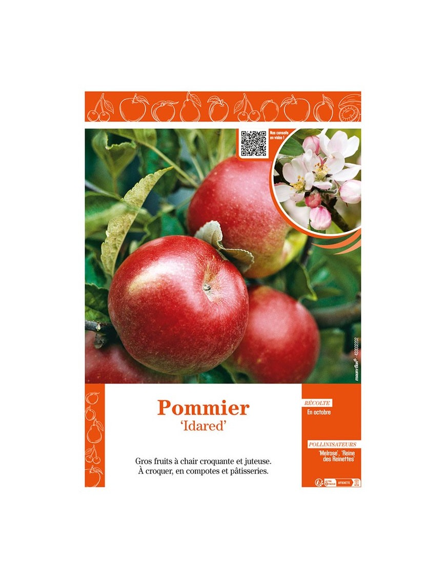 POMMIER IDARED