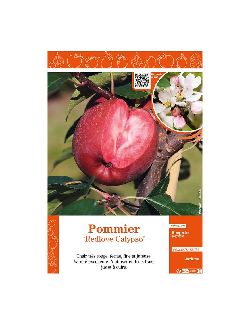 POMMIER REDLOVE CALYPSO