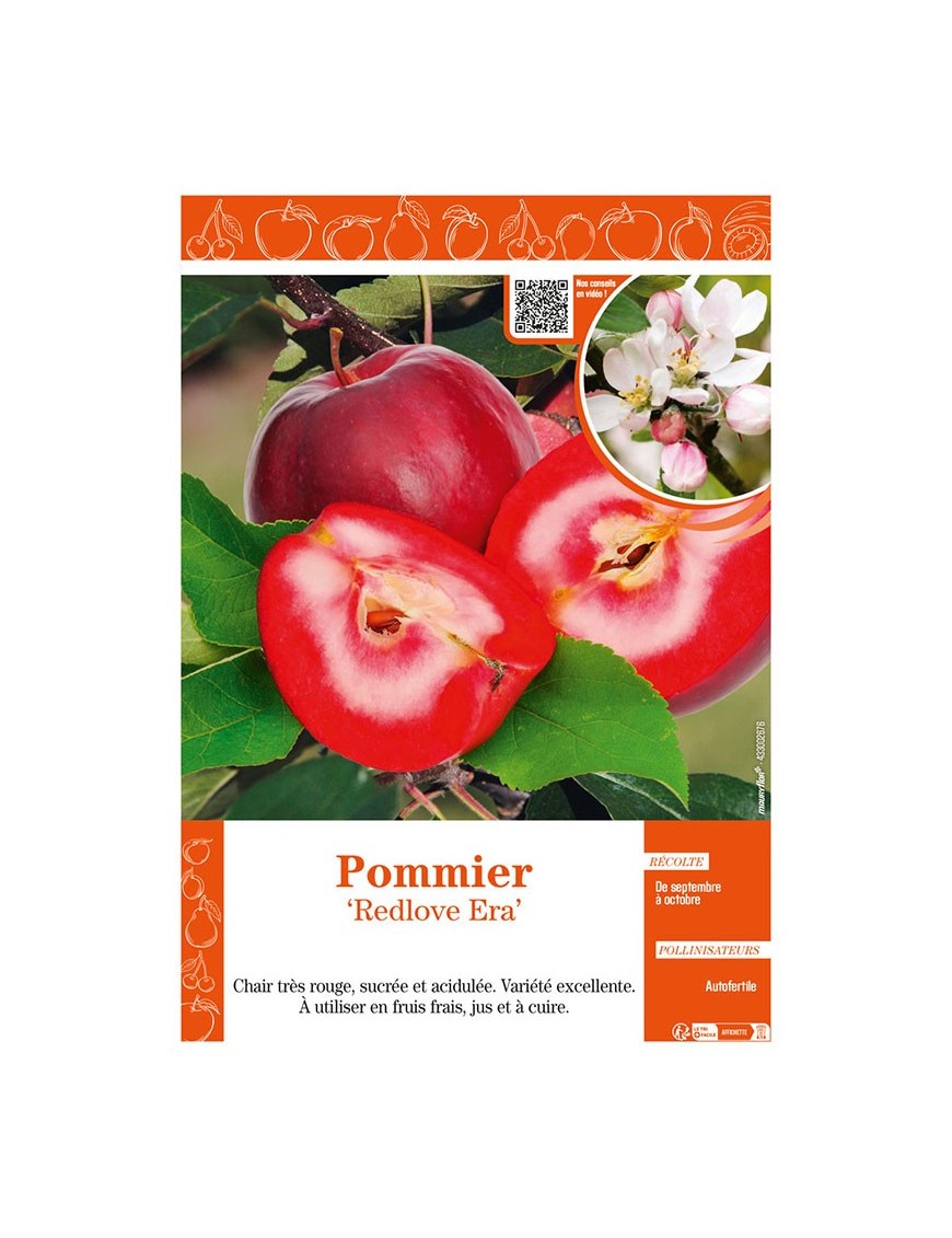 POMMIER REDLOVE ERA