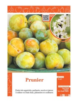 PRUNIER