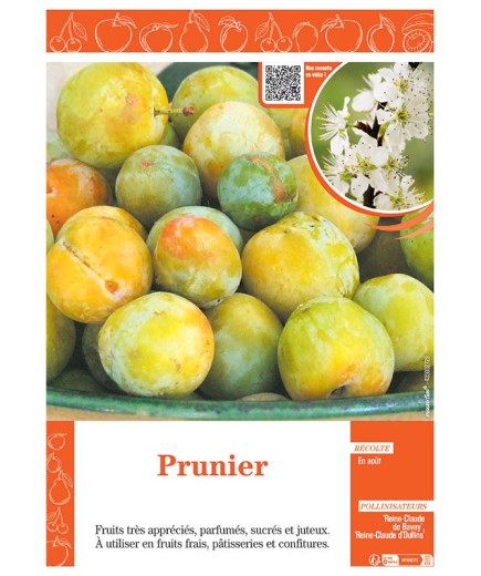 PRUNIER