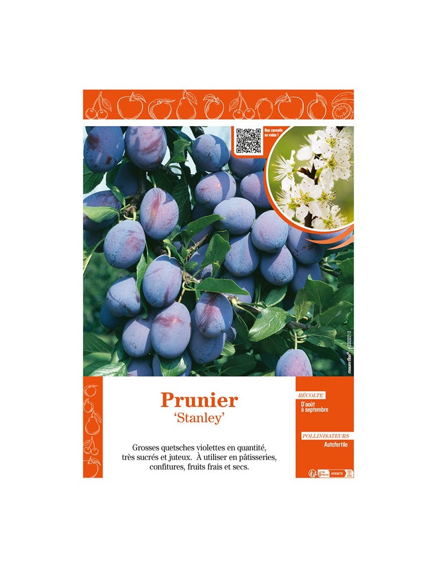PRUNIER STANLEY