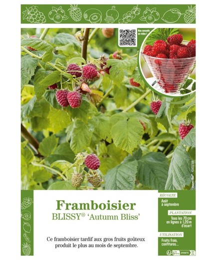 FRAMBOISIER BLISSY® AUTUMN BLISS