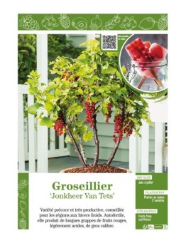 GROSEILLIER JONKHEER VAN TETS