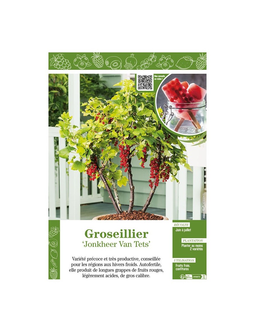 GROSEILLIER JONKHEER VAN TETS