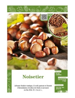 NOISETIER