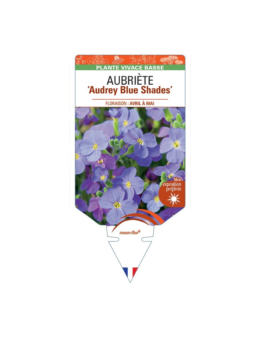 AUBRIETA Audrey Blue Shades