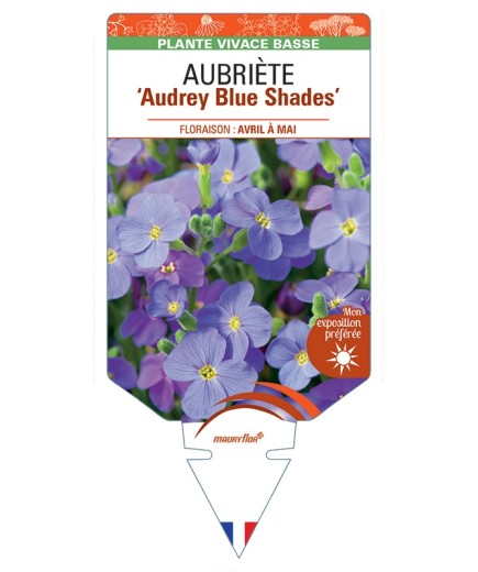 AUBRIETA Audrey Blue Shades