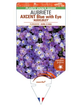 AUBRIETA AXCENT Blue with Eye Audelbley