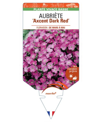 AUBRIETA Axcent Dark Red