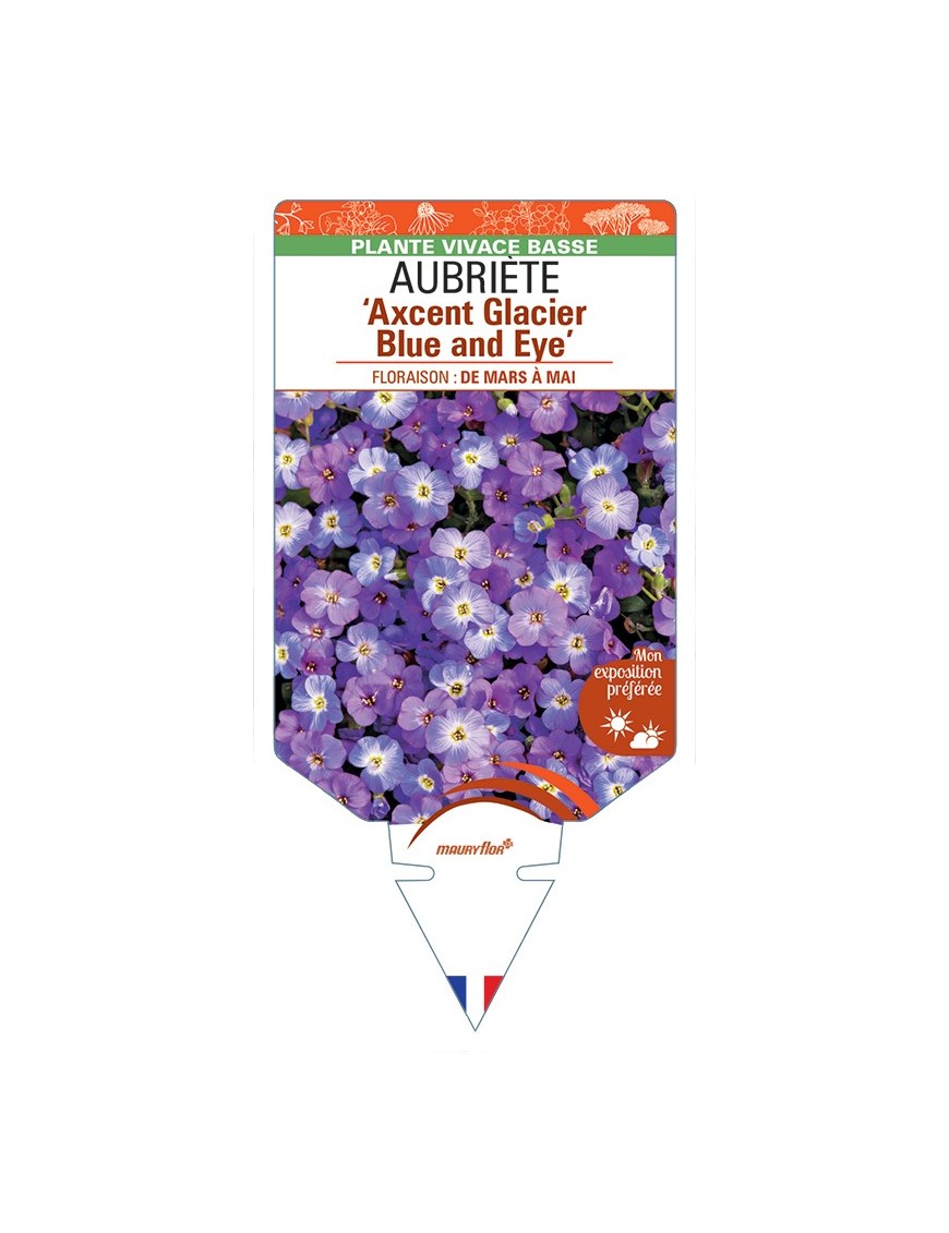 AUBRIETA Axcent Glacier Blue and Eye