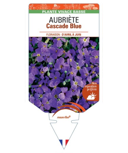 AUBRIETA Cascade Blue