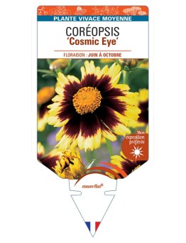 COREOPSIS Cosmic Eye