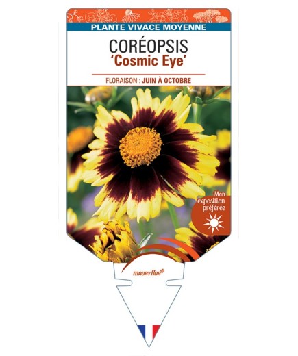 COREOPSIS Cosmic Eye