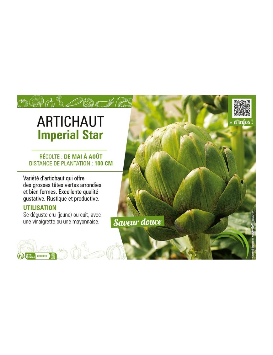 ARTICHAUT IMPÉRIAL STAR