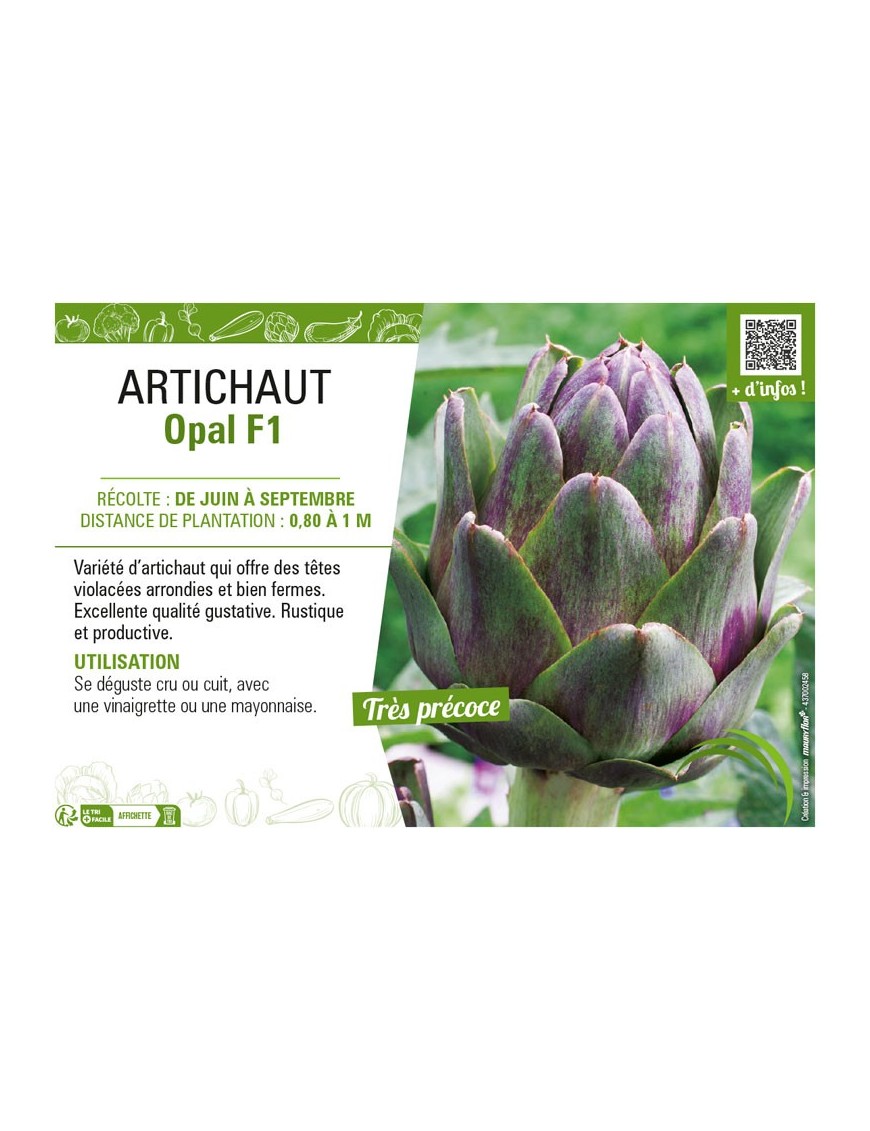ARTICHAUT OPAL F1