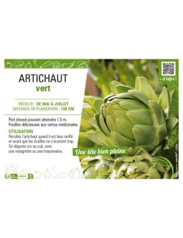 ARTICHAUT VERT