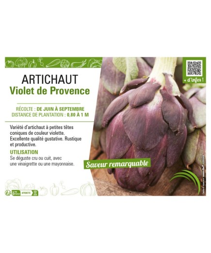 ARTICHAUT VIOLET DE PROVENCE