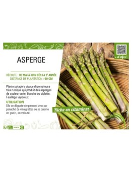 ASPERGE