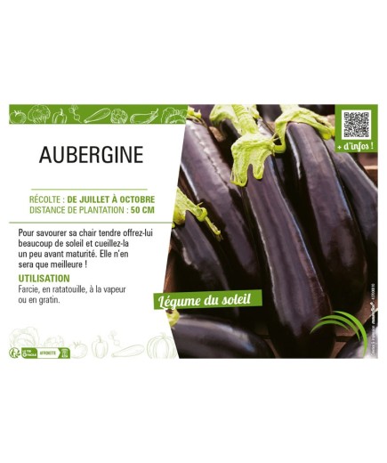 AUBERGINE (longue)