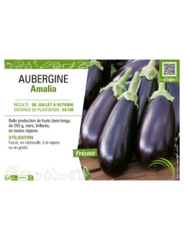 AUBERGINE AMALIA