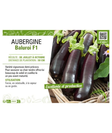 AUBERGINE BALUROI F1