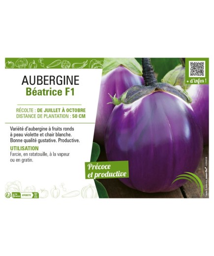 AUBERGINE BÉATRICE F1