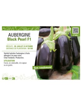 AUBERGINE BLACK PEARL F1