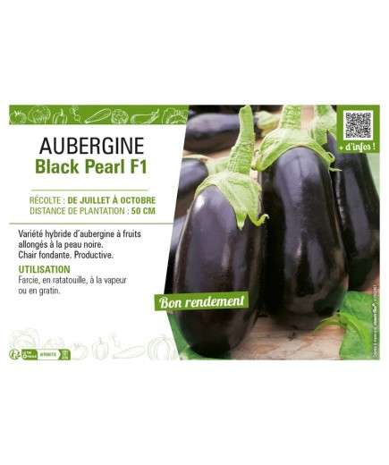AUBERGINE BLACK PEARL F1