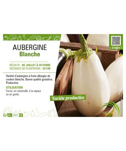 AUBERGINE BLANCHE