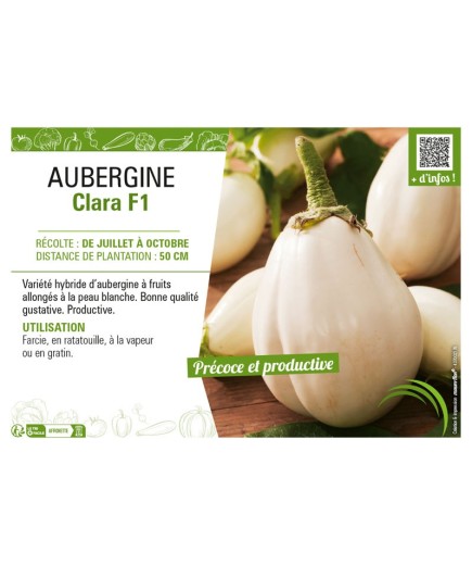 AUBERGINE CLARA F1