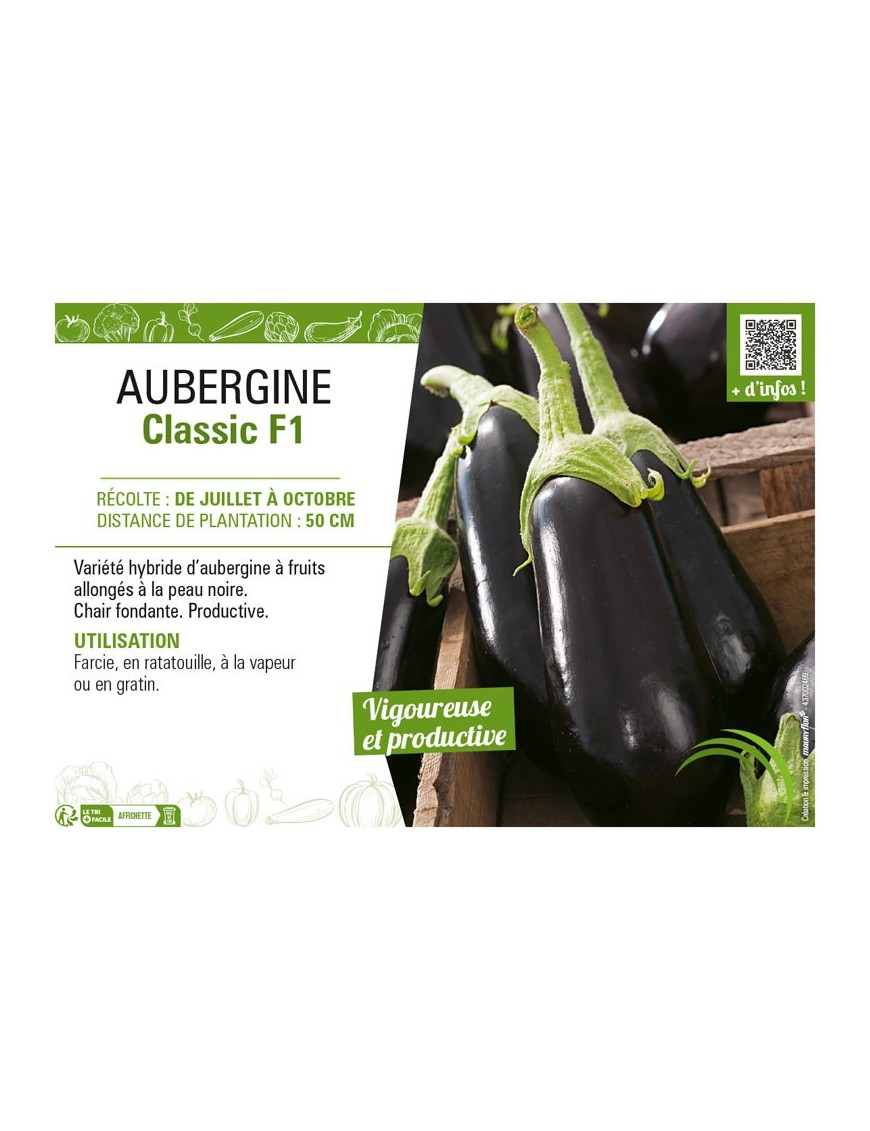 AUBERGINE CLASSIC F1
