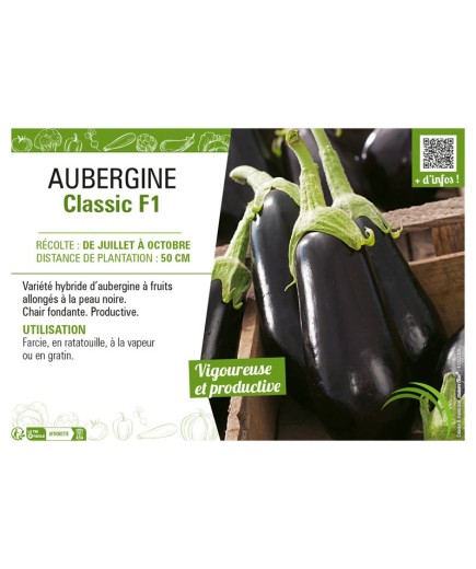 AUBERGINE CLASSIC F1