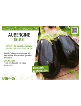 AUBERGINE CRISTAL