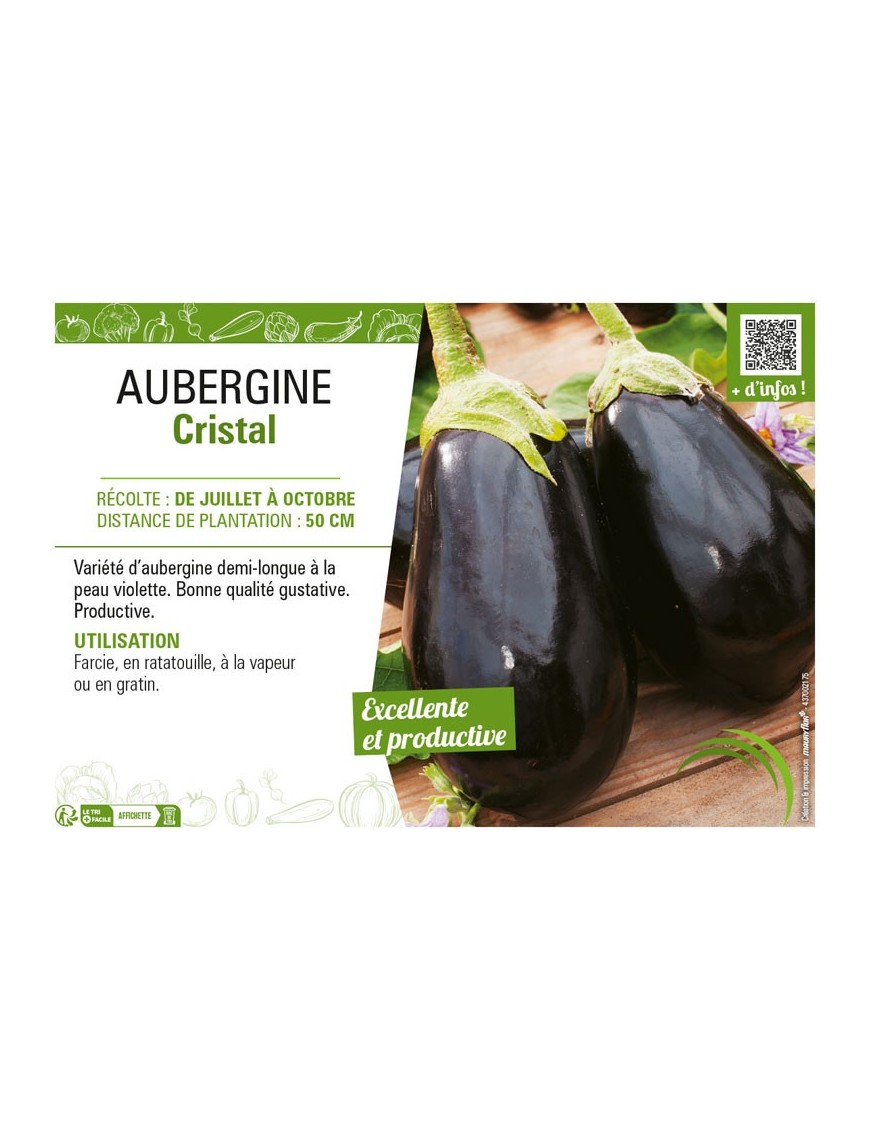 AUBERGINE CRISTAL