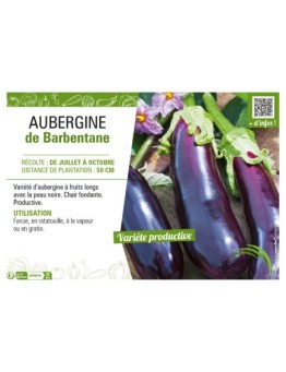 AUBERGINE DE BARBENTANE
