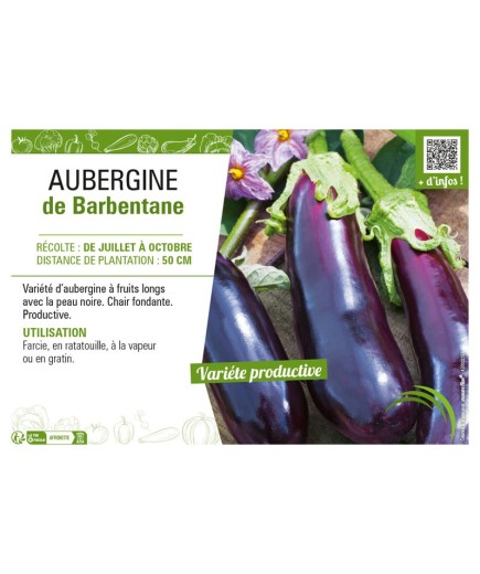 AUBERGINE DE BARBENTANE