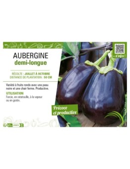 AUBERGINE DEMI-LONGUE