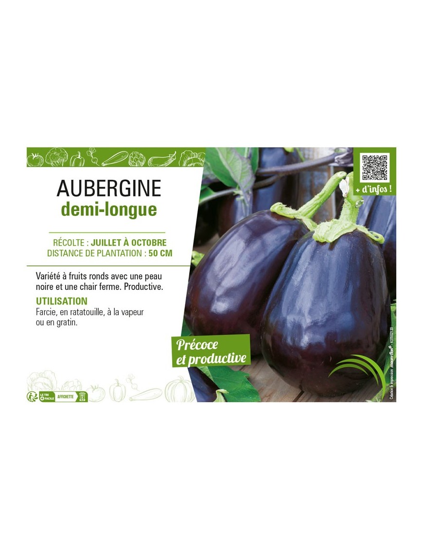 AUBERGINE DEMI-LONGUE