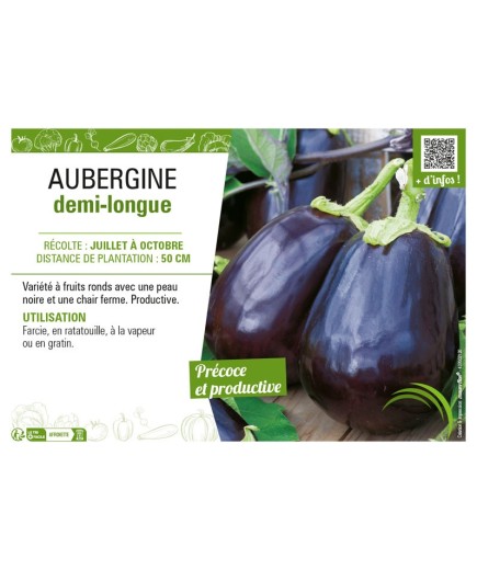 AUBERGINE DEMI-LONGUE