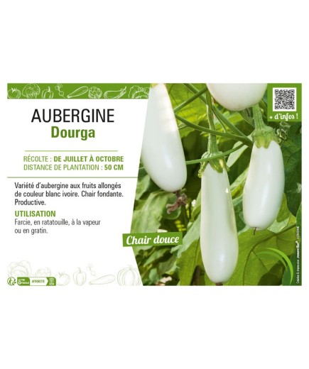 AUBERGINE DOURGA
