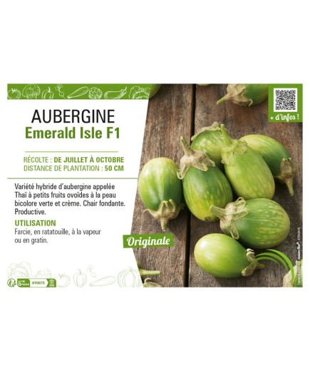 AUBERGINE EMERALD ISLE F1